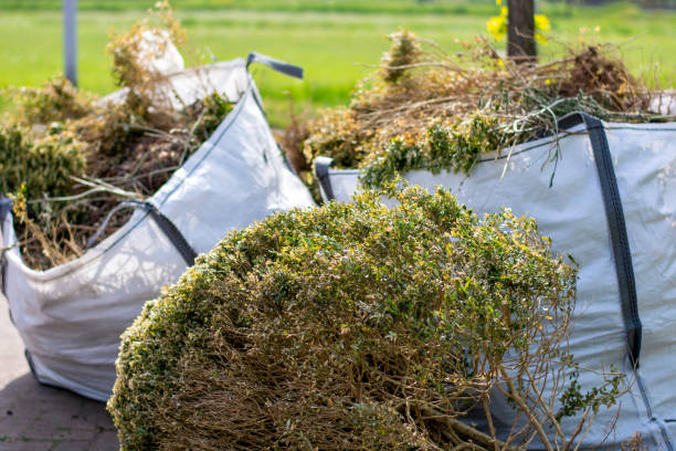 Best Estate Cleanout Services  in Palmyra, WI