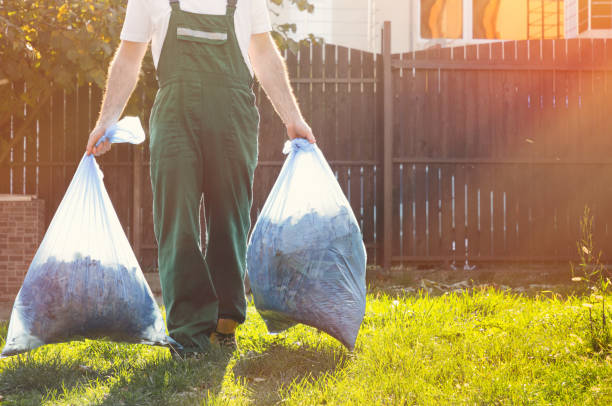 Yard Cleanup Services in Palmyra, WI