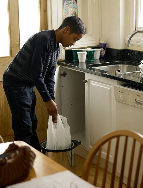 Best Construction Debris Removal  in Palmyra, WI